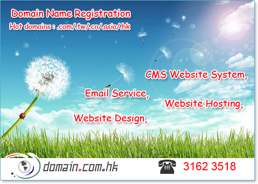 hk domain name registration website hosting email service hk diy website design