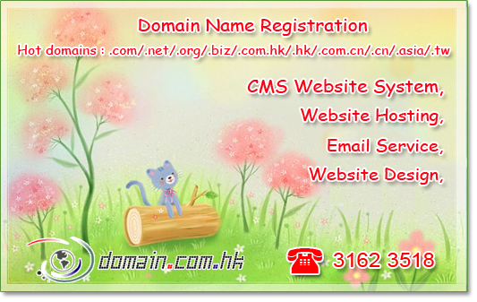 hk domain name registration website hosting email service hk diy website design